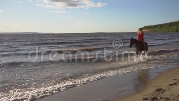 女人骑着马在河滩的水中夕阳的光视频的预览图