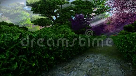 春天的日本花园阳光在树间照耀倾斜视频的预览图