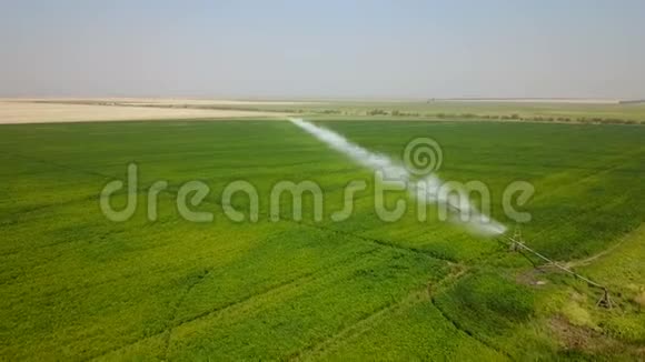 田的灌溉系统空中飞行视频的预览图