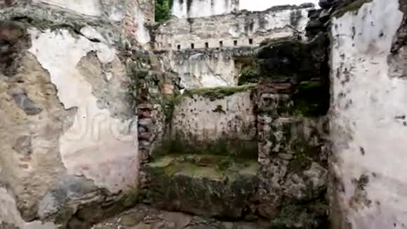 废墟被砖块和绿色植物包围视频的预览图
