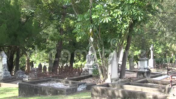 杂草丛生的旧墓地视频的预览图