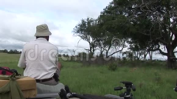 猎捕非洲热带草原肯尼亚野生危险哺乳动物后狮子吸血视频的预览图