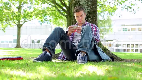 坐在草地上发短信的年轻学生视频的预览图