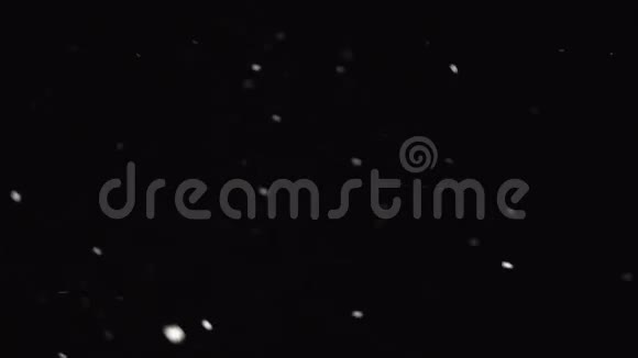 黑色背景下的降雪视频的预览图