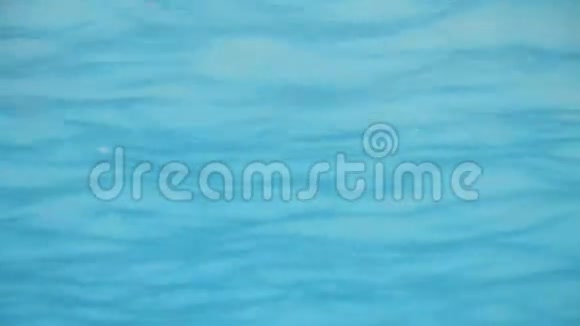 蓝色的水背景视频的预览图