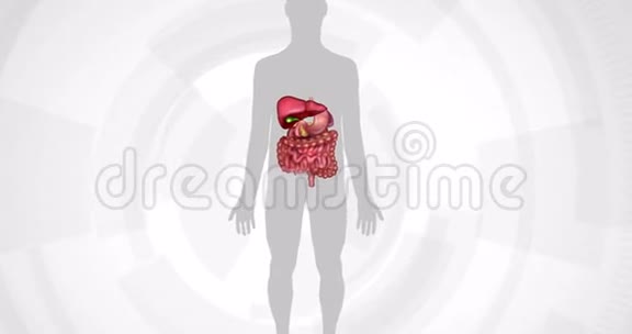 胃溃疡视频的预览图