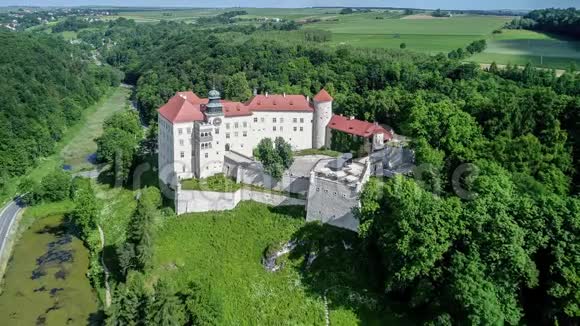 波兰克拉科夫附近的皮斯科瓦斯卡拉城堡视频的预览图