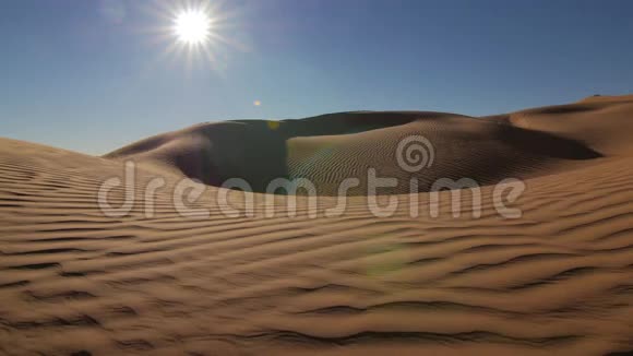 撒哈拉沙漠景观清晨美妙的沙丘视频的预览图