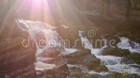 雾蒙蒙的秋林瀑布视频的预览图