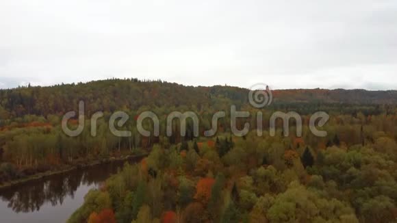 秋色高加河的空中景观四周环绕着五彩缤纷的黄橙绿森林视频的预览图