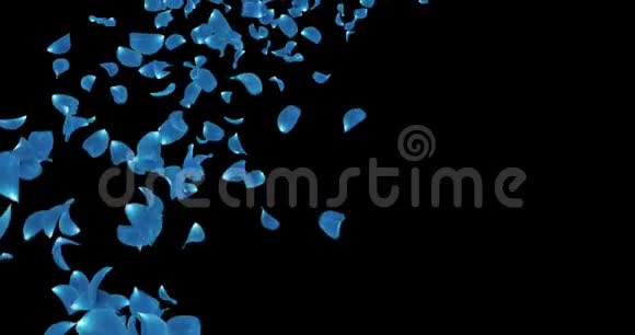 飞行深蓝色玫瑰花花瓣落座阿尔法哑光环4k视频的预览图