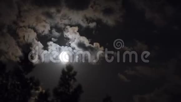 满月通过乌云和树木在夜空中移动时光流逝视频的预览图