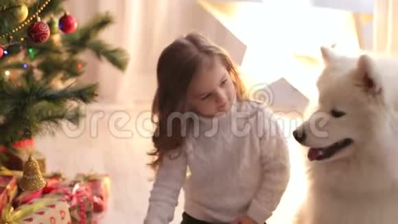 一个孩子和一只狗在圣诞树附近的画像视频的预览图