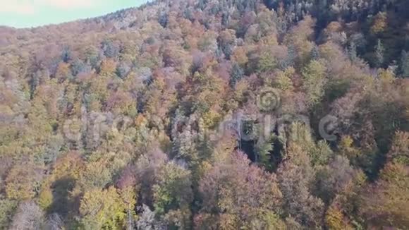 亚雷米切附近喀尔巴阡山脉秋季鸟瞰图视频的预览图