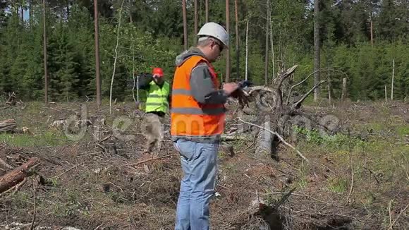 有被毁森林文件的森林工程师视频的预览图