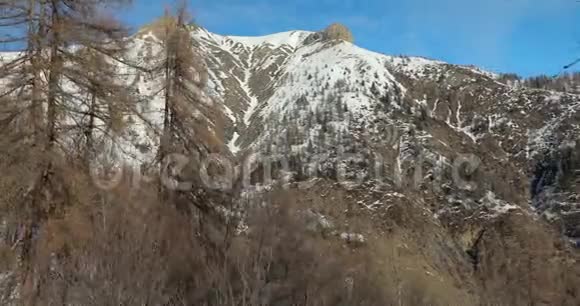 冬天的山林视频的预览图