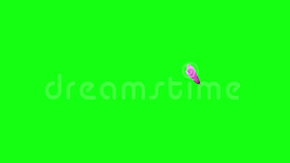 开启长时间绽放的紫色花朵延时3d动画隔离色键绿色屏幕背景新品质视频的预览图