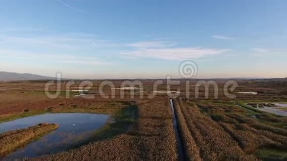空中拍摄欧洲秋色的飞越沼泽景观视频的预览图