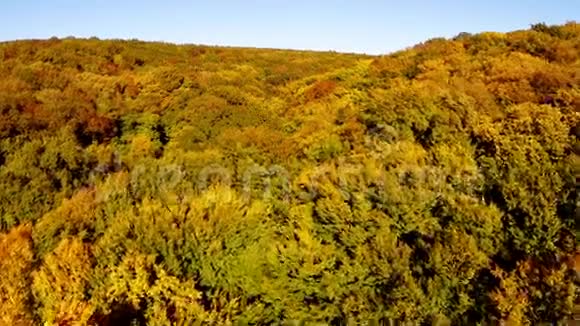 秋天的野生巴尔干森林视频的预览图