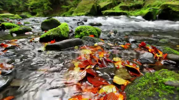 秋天的卡梅尼斯河波希米亚的瑞士视频的预览图