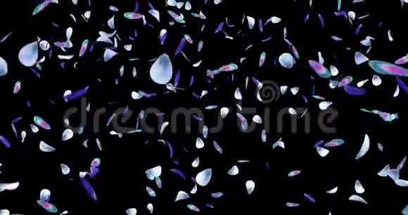 落紫蓝绿花花瓣灯光背景阿尔法哑光循环4k视频的预览图