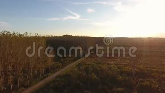 空中拍摄欧洲秋色的飞越沼泽景观视频的预览图