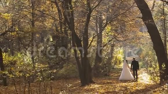 婚礼新娘和新郎漫步在秋天的森林里视频的预览图