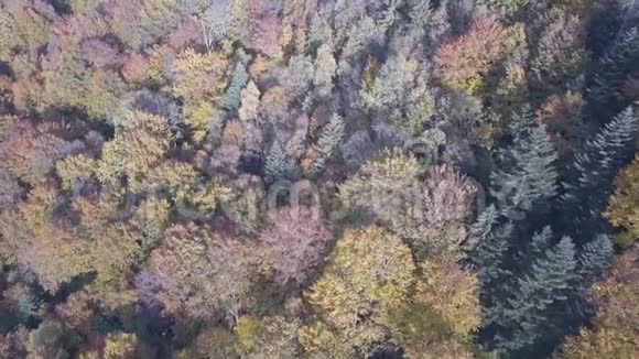 亚雷米切附近喀尔巴阡山脉秋季的鸟瞰图视频的预览图