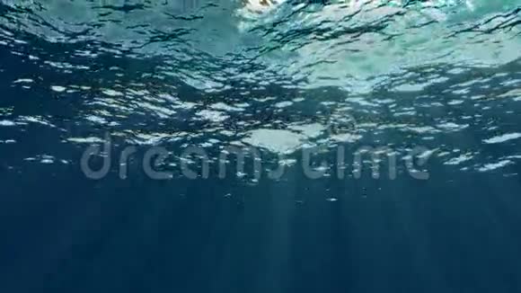 水下可循环1080p视频的预览图