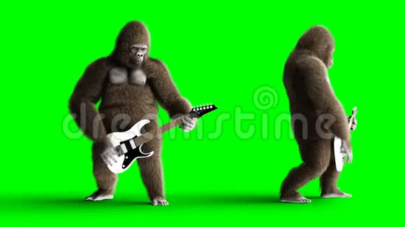 有趣的棕色大猩猩弹电吉他超级逼真的皮毛和头发绿屏4K动画视频的预览图