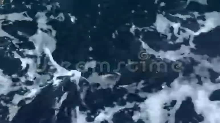 碧海表面白色泡沫视频的预览图