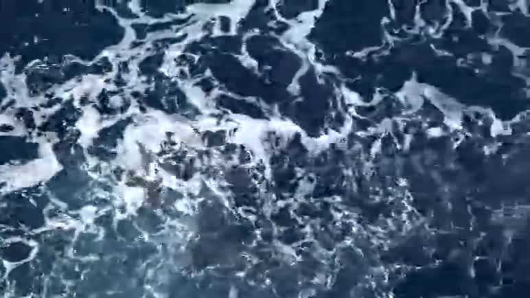 碧海表面白色泡沫视频的预览图