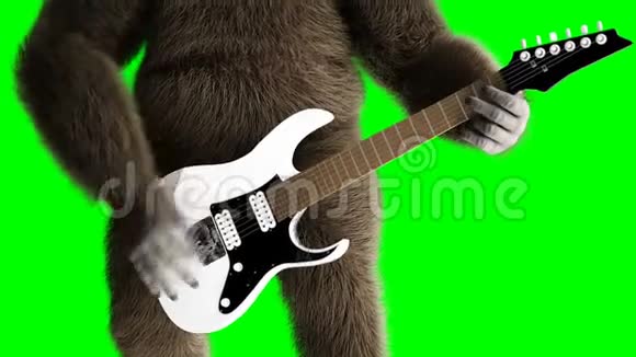 有趣的棕色大猩猩弹电吉他超级逼真的皮毛和头发绿屏4K动画视频的预览图