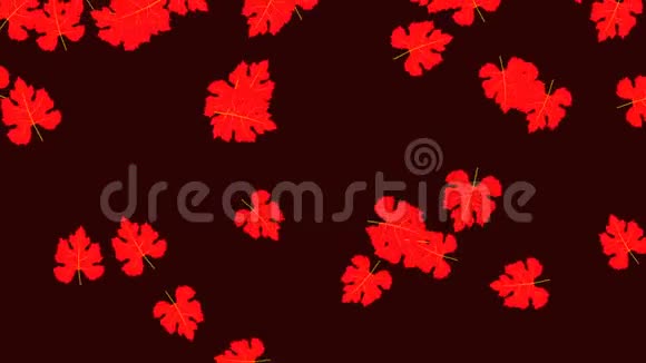 用红色秋天的枫叶做动画视频的预览图