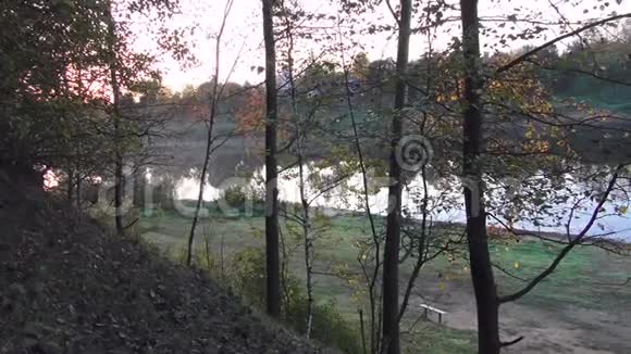 在秋天的公园马祖里诺视频的预览图