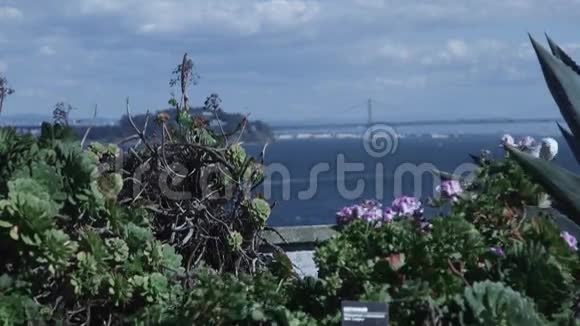 站在恶魔岛看旧金山的风景视频的预览图