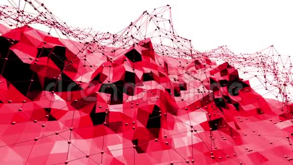 玫瑰色或粉红色低聚振荡表面作为优雅的图案环境红色多边形几何振动环境视频的预览图