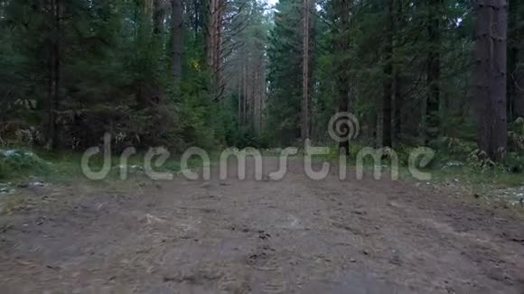 森林里的小道录像视频的预览图