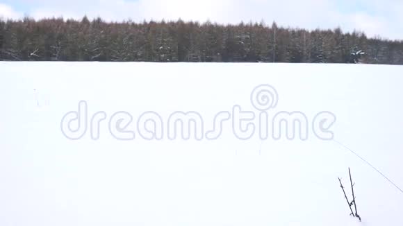 冬季游客带着雪鞋在雪地漂流中行走穿着粉色运动夹克的徒步旅行者和穿着雪鞋的黑色徒步旅行者视频的预览图