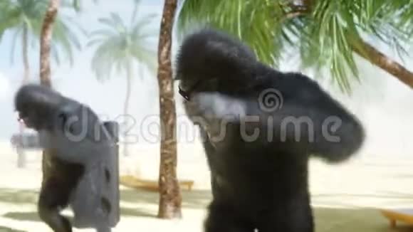 有趣的大猩猩和猴子在阳光明媚的海边跳舞旅游和休息理念逼真的4K动画视频的预览图