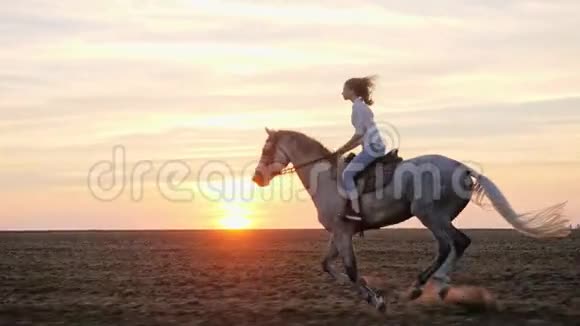 日落时分年轻的金发女孩骑在田野上的马上慢动作视频的预览图