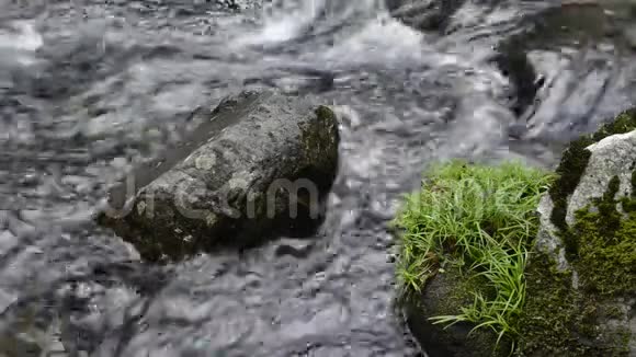 带着石头的小溪视频的预览图