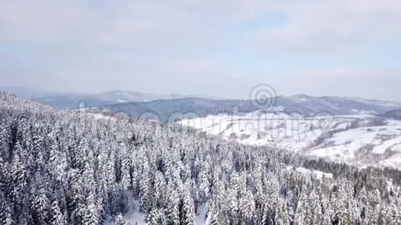 冬季森林与直升机射击从上面看空中景观视频的预览图