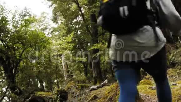 徒步旅行新西兰视频的预览图