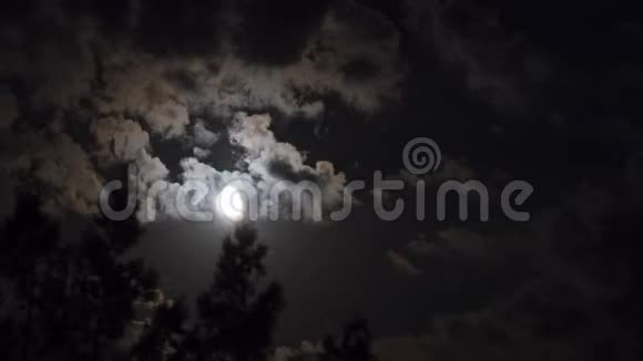 满月通过乌云和树木在夜空中移动时光流逝视频的预览图