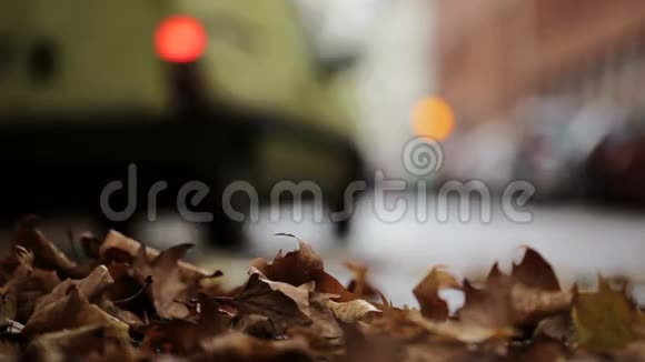 街道上的树叶秋天的城市景象背景中的交通和汽车视频的预览图