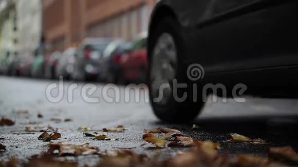 街道上的树叶秋天的城市景象背景中的交通和汽车视频的预览图