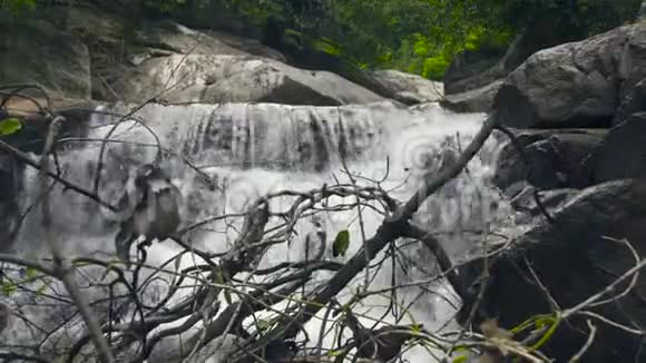 瀑布级联流山中从瀑布流出来的溪水在山河大石上流淌视频的预览图