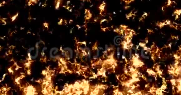 真实火焰图案纹理在黑色背景上燃烧危险火焰视频的预览图