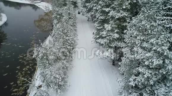 冬季森林中汽车行驶的鸟瞰图视频的预览图